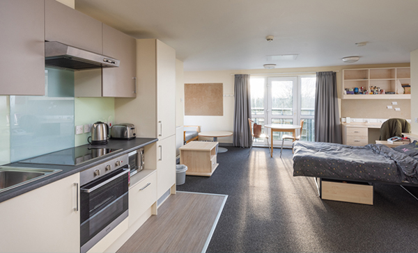 A studio flat in wentworth college