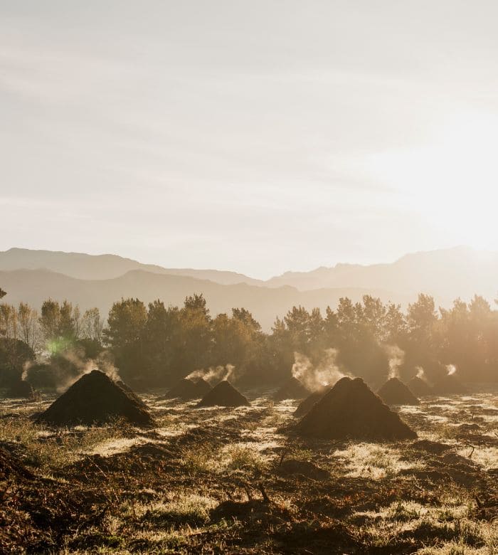 steaming piles of dirt in a field