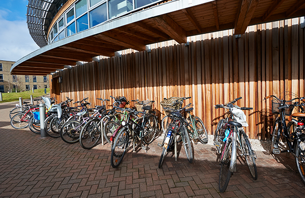 A Row of Bikes By Berrick Saul Building