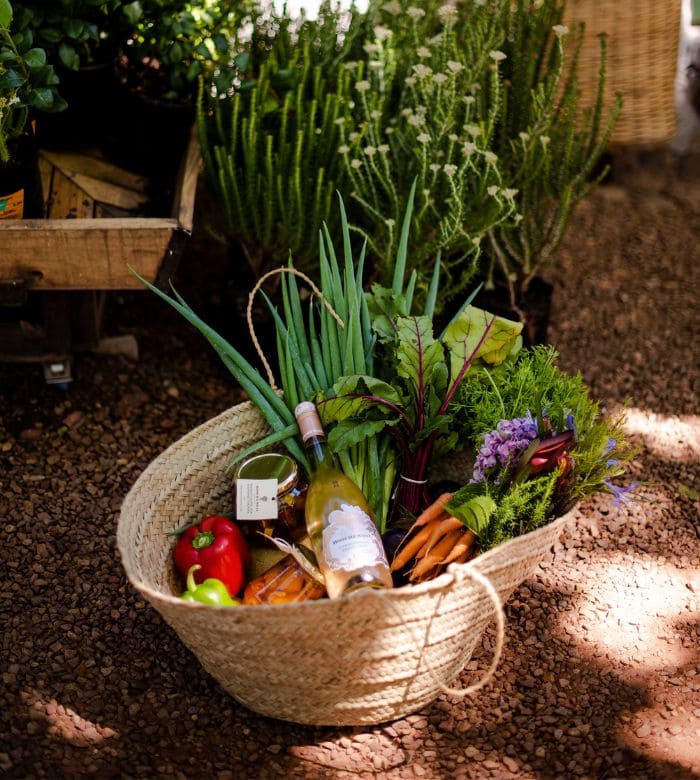 basket of farm fresh produce