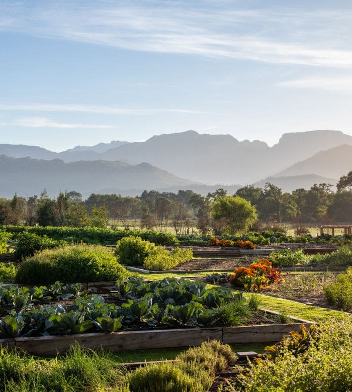 vegetable gardens and mountains in the background
