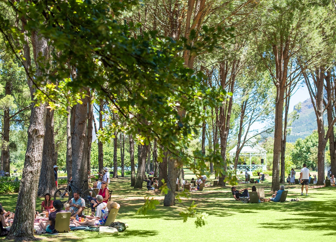 Page-slider-images-1088×784-werf-picnics-1