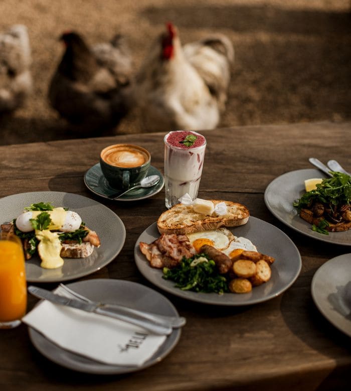 food on a table with chickens in the background