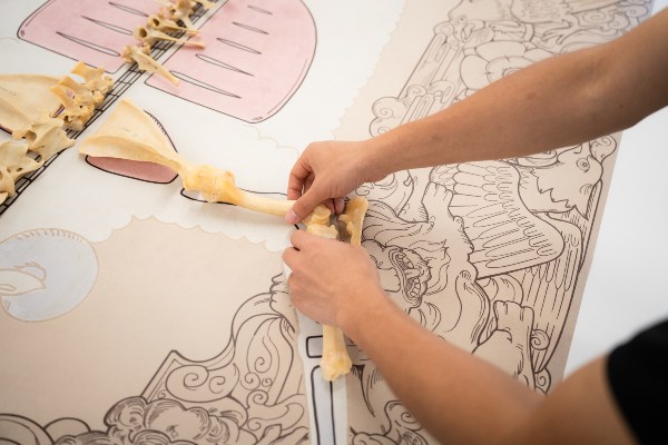 A student examining animal bones in the PalaeoHub on Campus West