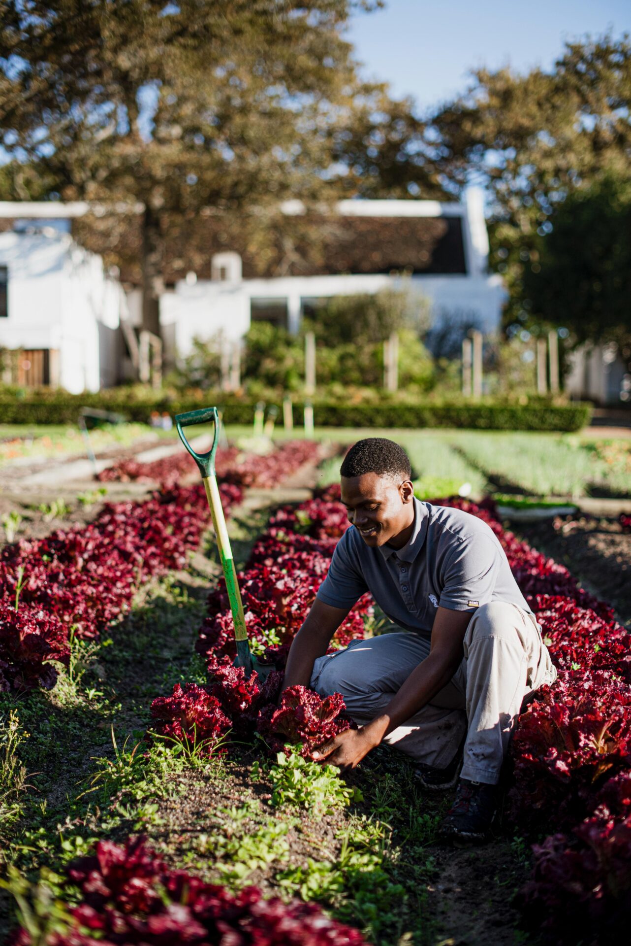 WhatsApp Image 2025-10-24 at 09.26.51